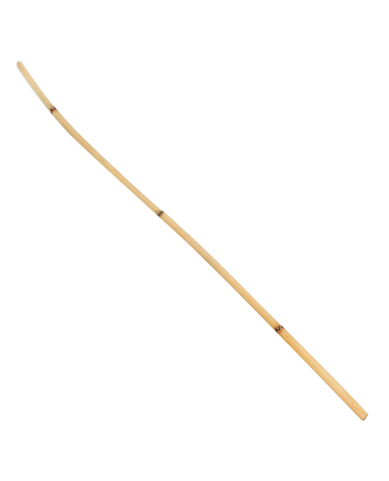 290895772.jpg