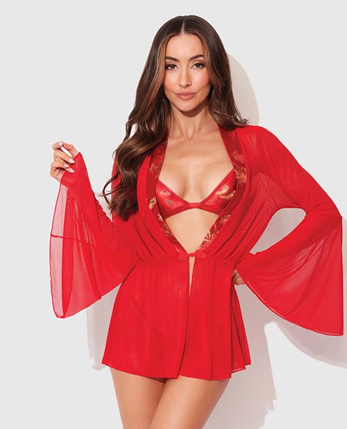 Dragon Sheer Mesh Robe w/Satin Triangle Top & G - String 3 pc Set - Red LG | Shop Lowest Prices at Funlove.com