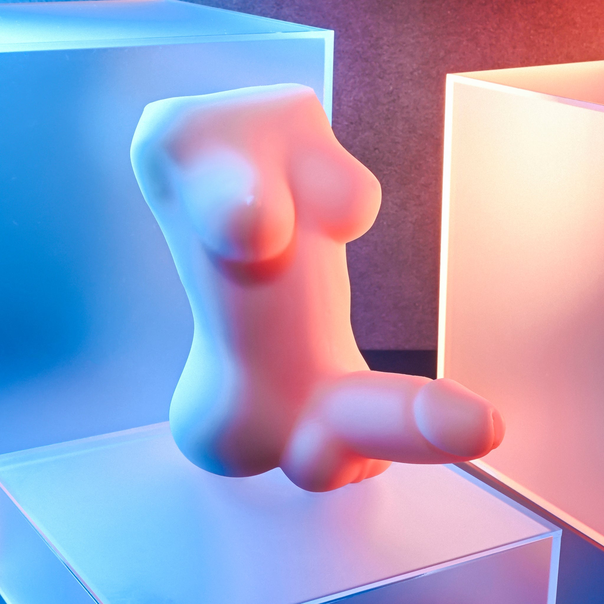 Gender X Complete Package | Shop Lowest Prices at Funlove.com