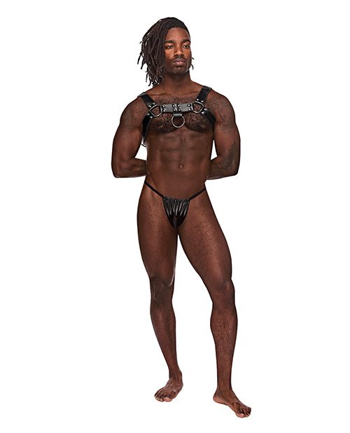 Leather Aries Single Ring Harness Black O/s | Shop Lowest Prices at Funlove.com