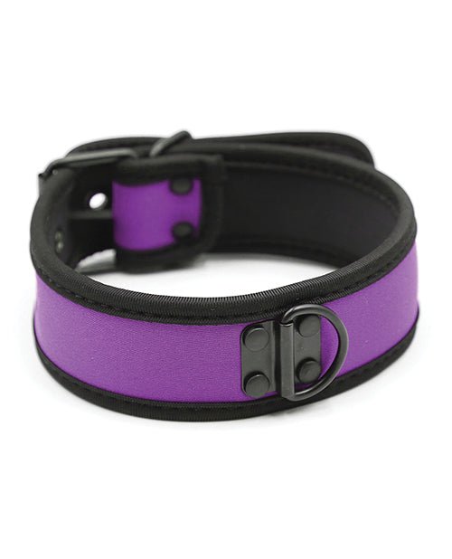 Plesur Neoprene Puppy Collar - | Shop Lowest Prices at Funlove.com