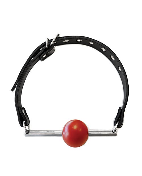 Rouge Leather Ball Gag with Stainless Steel Rod and Removable Ball - Black with Red | Shop Lowest Prices at Funlove.com