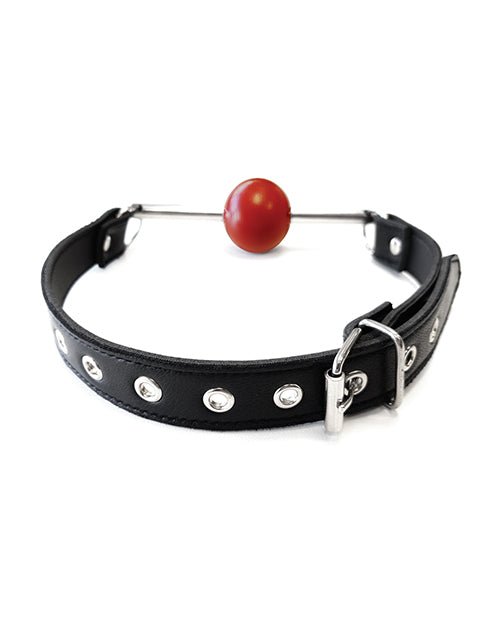 Rouge Leather Ball Gag with Stainless Steel Rod and Removable Ball - Black with Red | Shop Lowest Prices at Funlove.com