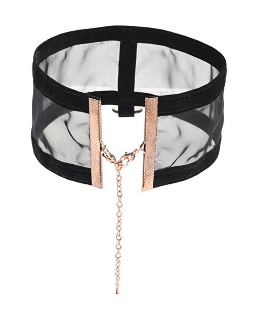 Sex & Mischief Sheer Day Collar | Shop Lowest Prices at Funlove.com