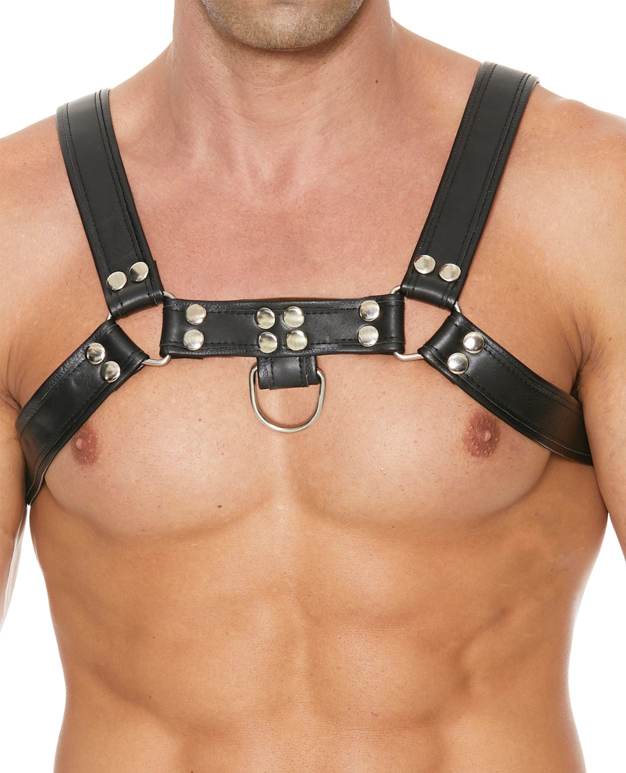 Shots Uomo Chest Bulldog Harness Large/XLarge - Black | Shop Lowest Prices at Funlove.com