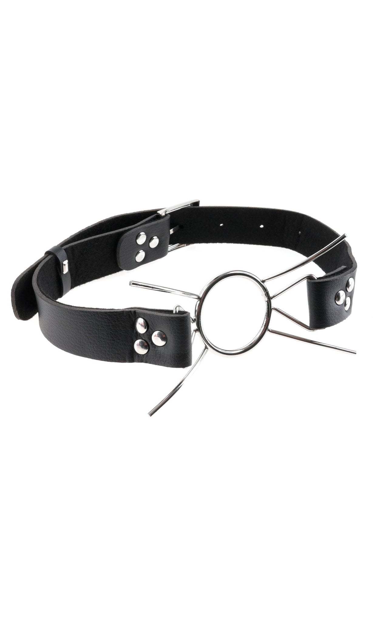 Fetish Fantasy Extreme Spider Gag | Shop Lowest Prices at Funlove.com