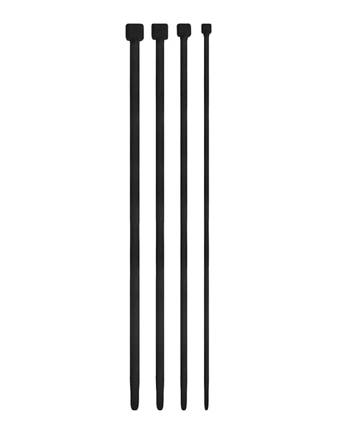12196570.jpg