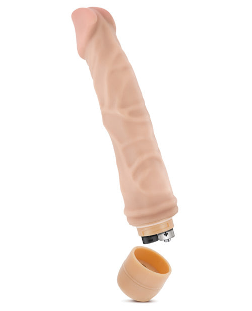 12203687.jpg