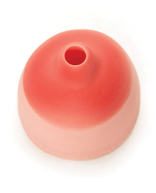 12225888.jpg