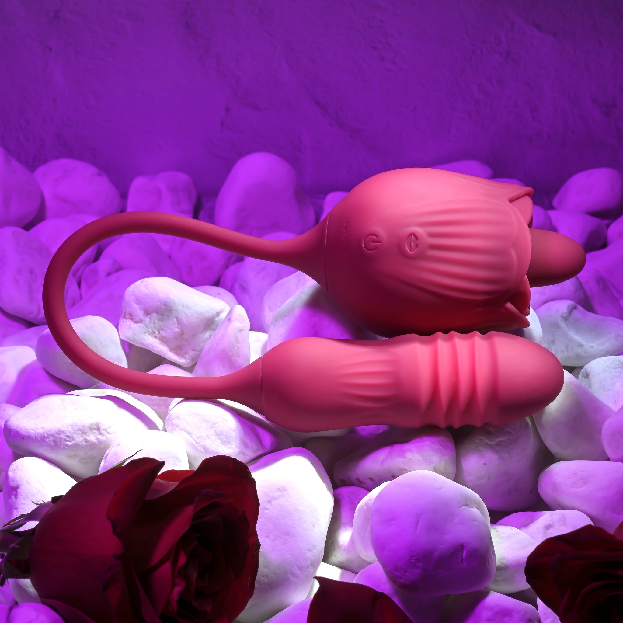 Evolved Wild Rose - Red