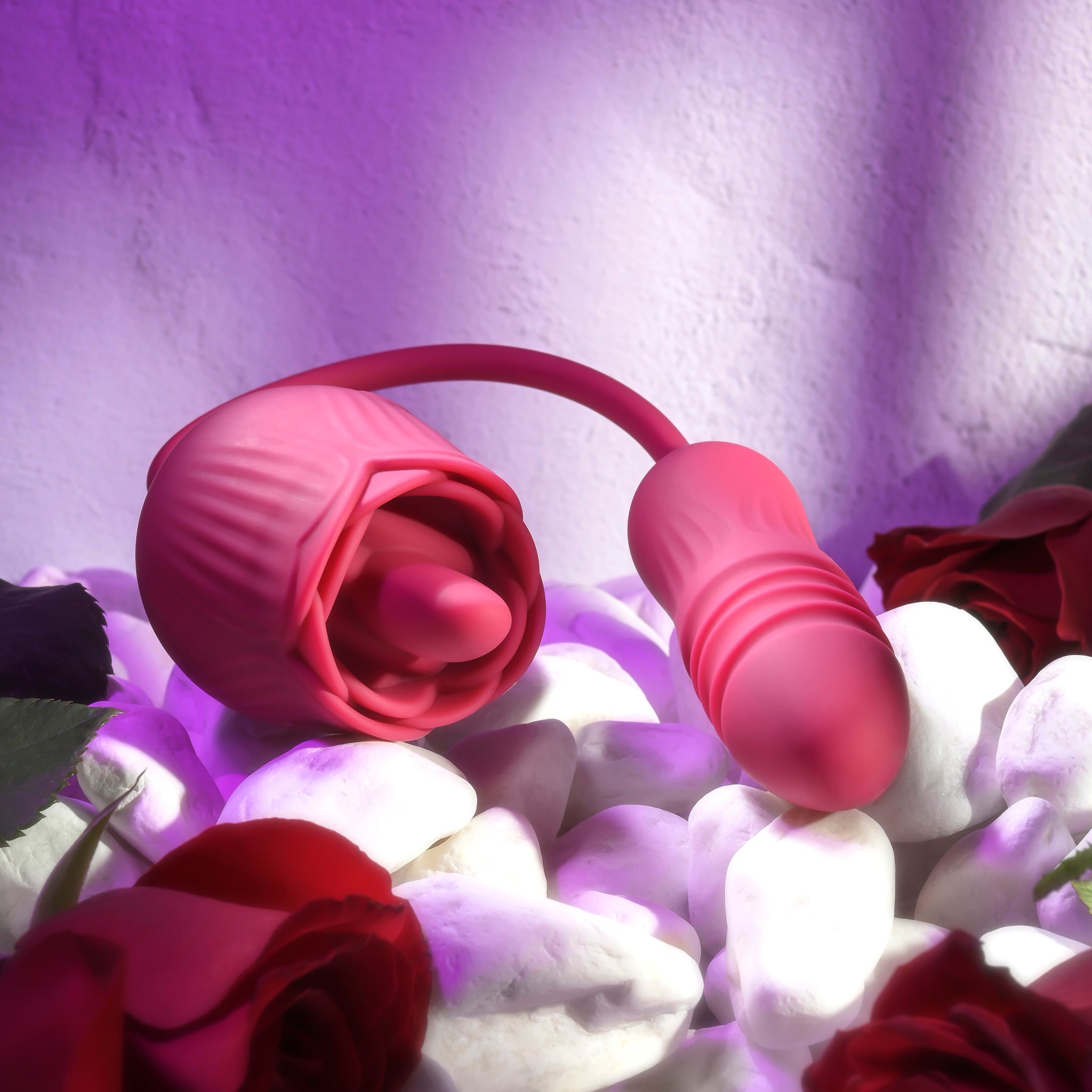 Evolved Wild Rose - Red