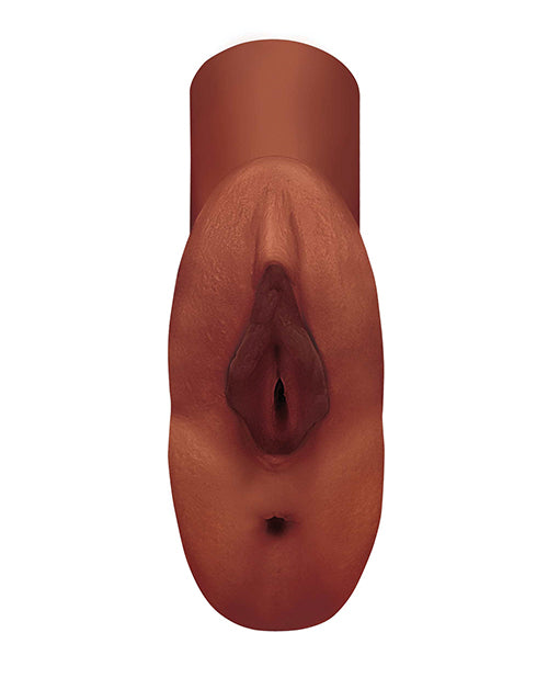 27232457.jpg