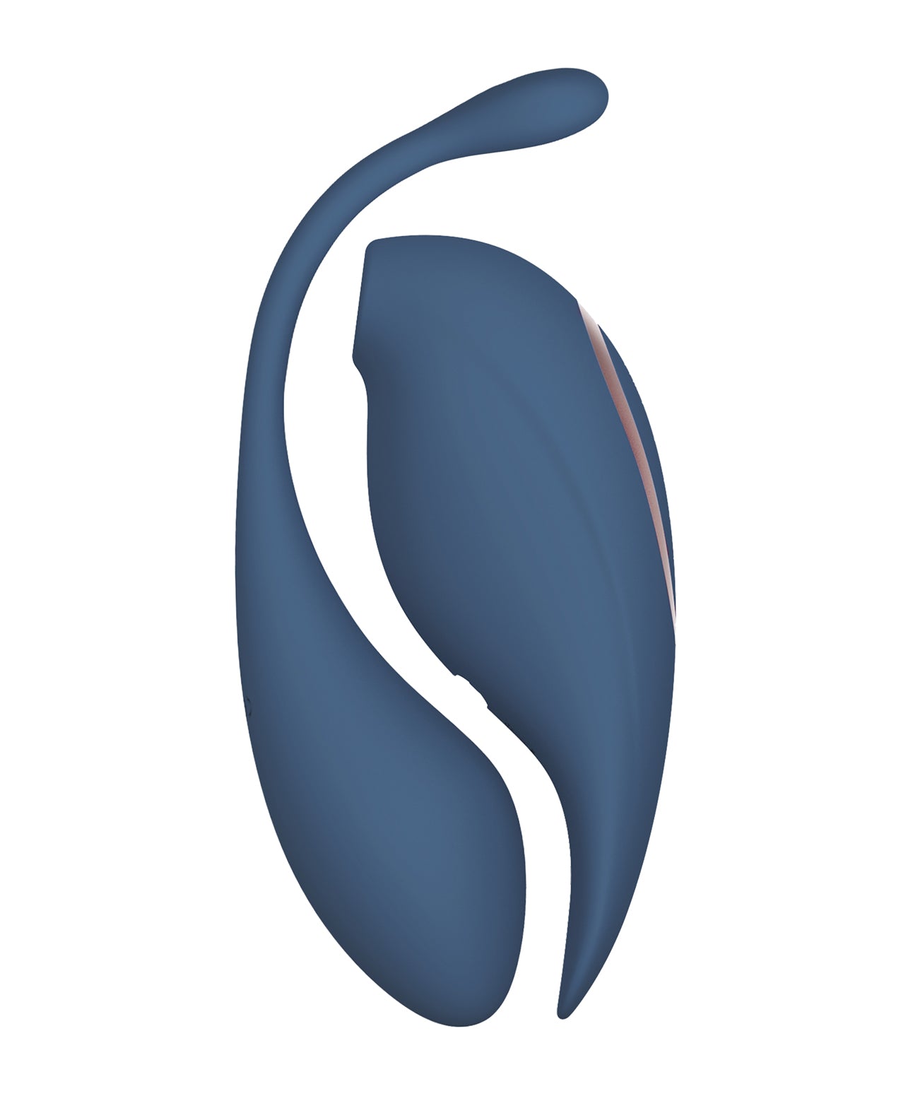 293750534.jpg