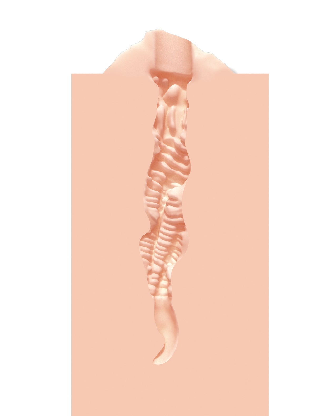 305082346.jpg