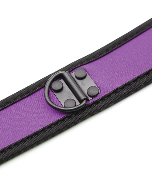 311819530.jpg