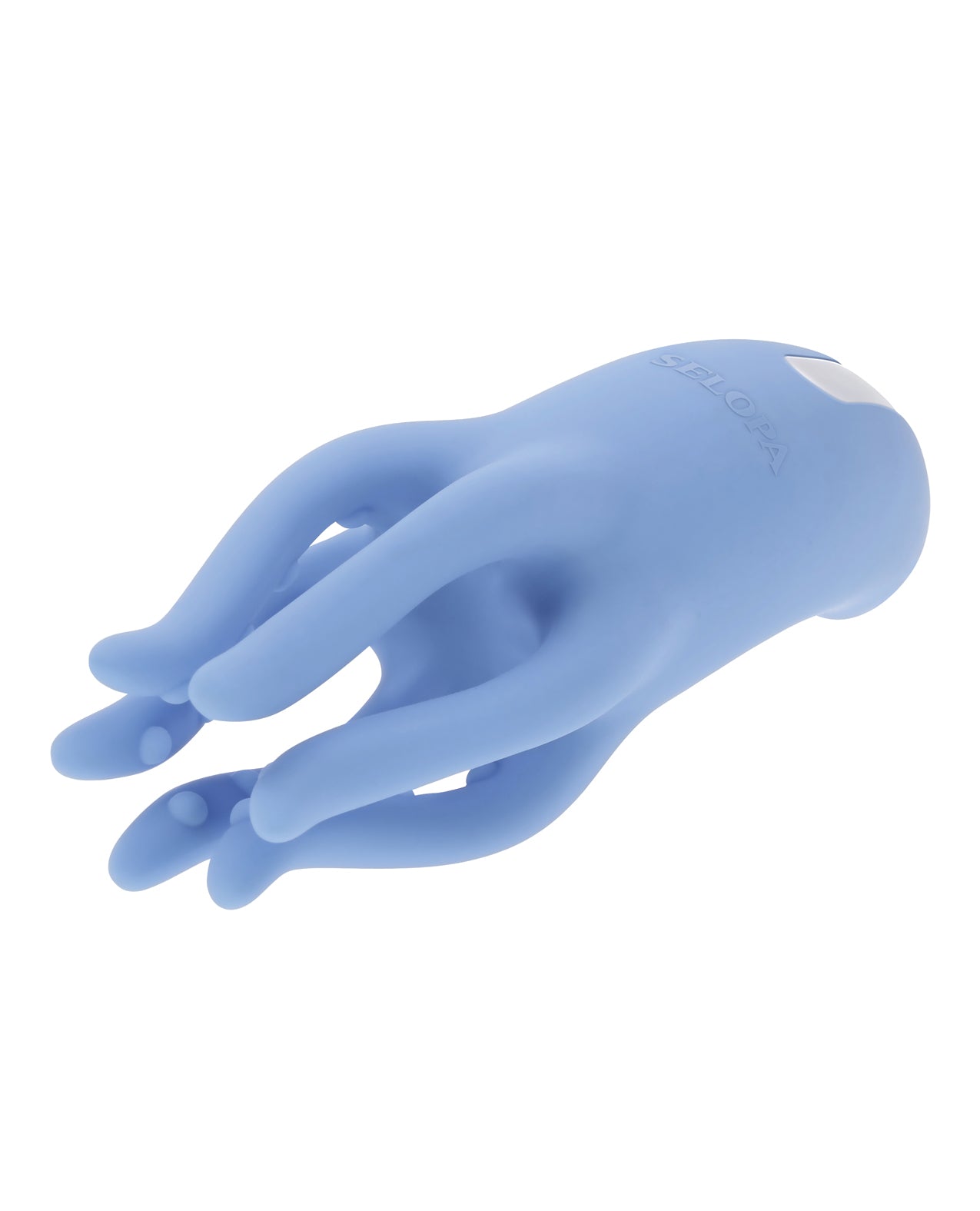 380905875.jpg