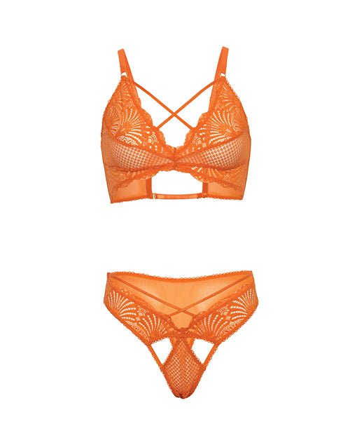 Amina Scallop Lace & Mesh Bralette w/Panty 2 pc Set - Dragon Fire Orange L/XL | Shop Lowest Prices at Funlove.com
