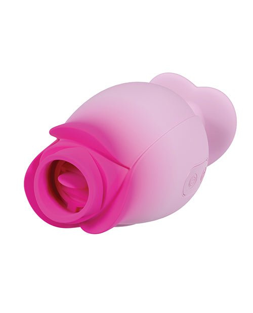Blush Aria - Tulip Trance - Pink | Shop Lowest Prices at Funlove.com