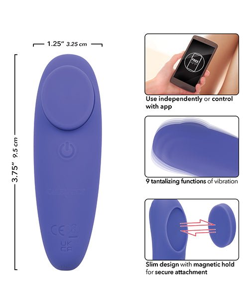 Connect App Based Panty Teaser | Shop Lowest Prices at Funlove.com