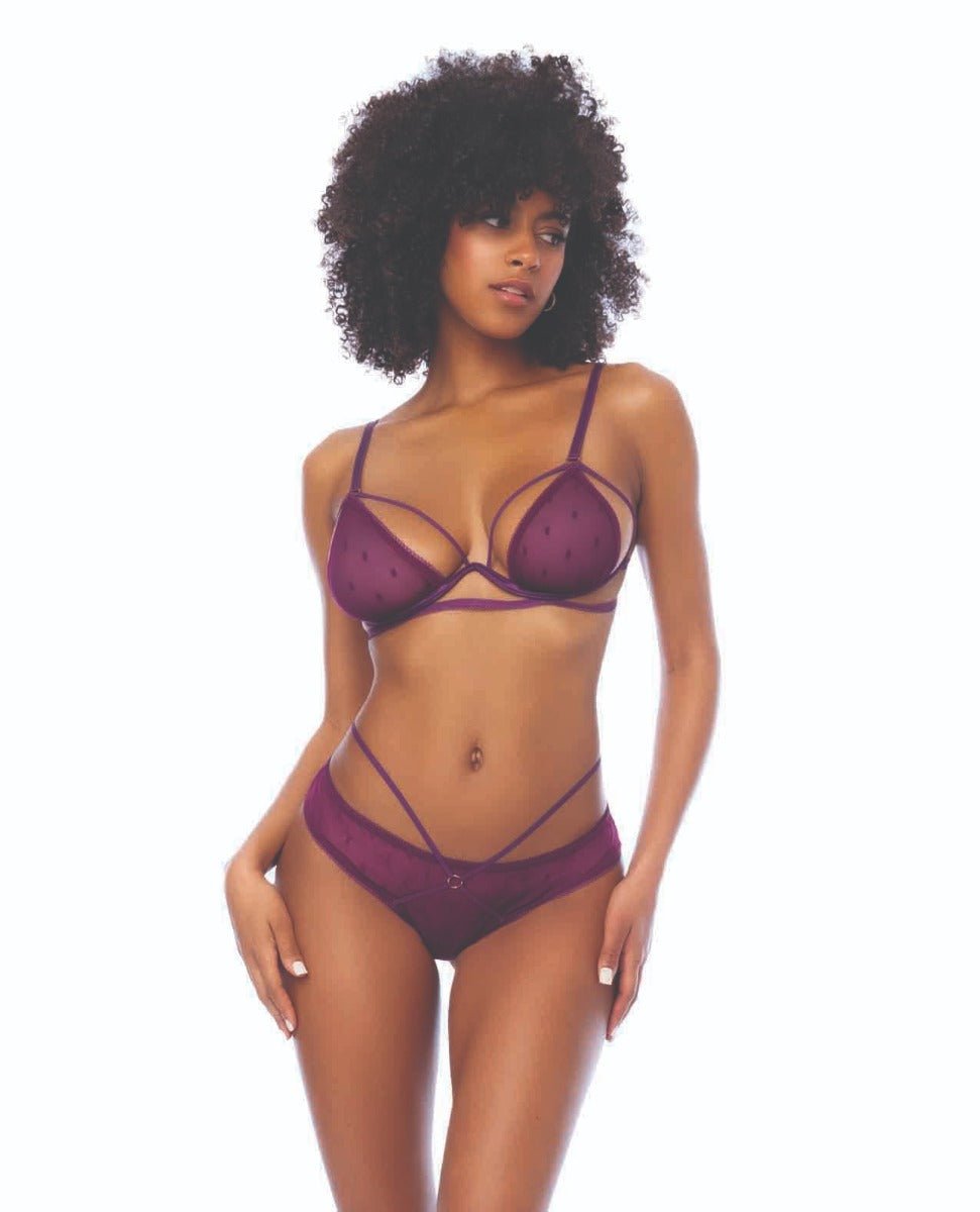 Dot Mesh Underwire Top w/Open Back Panty - Wine L/XL | Shop Lowest Prices at Funlove.com