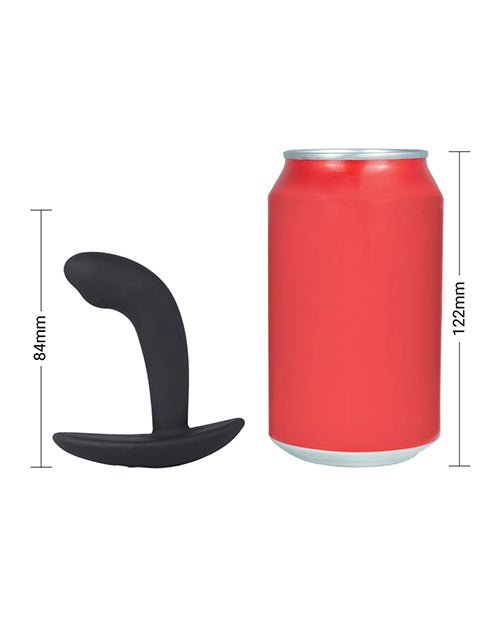 ElectraStim Electro Booty Buddy Prostate Massager - Black | Shop Lowest Prices at Funlove.com