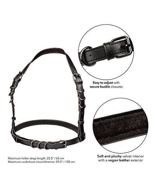 Euphoria Collection Plus Size Halter Buckle Harness | Shop Lowest Prices at Funlove.com