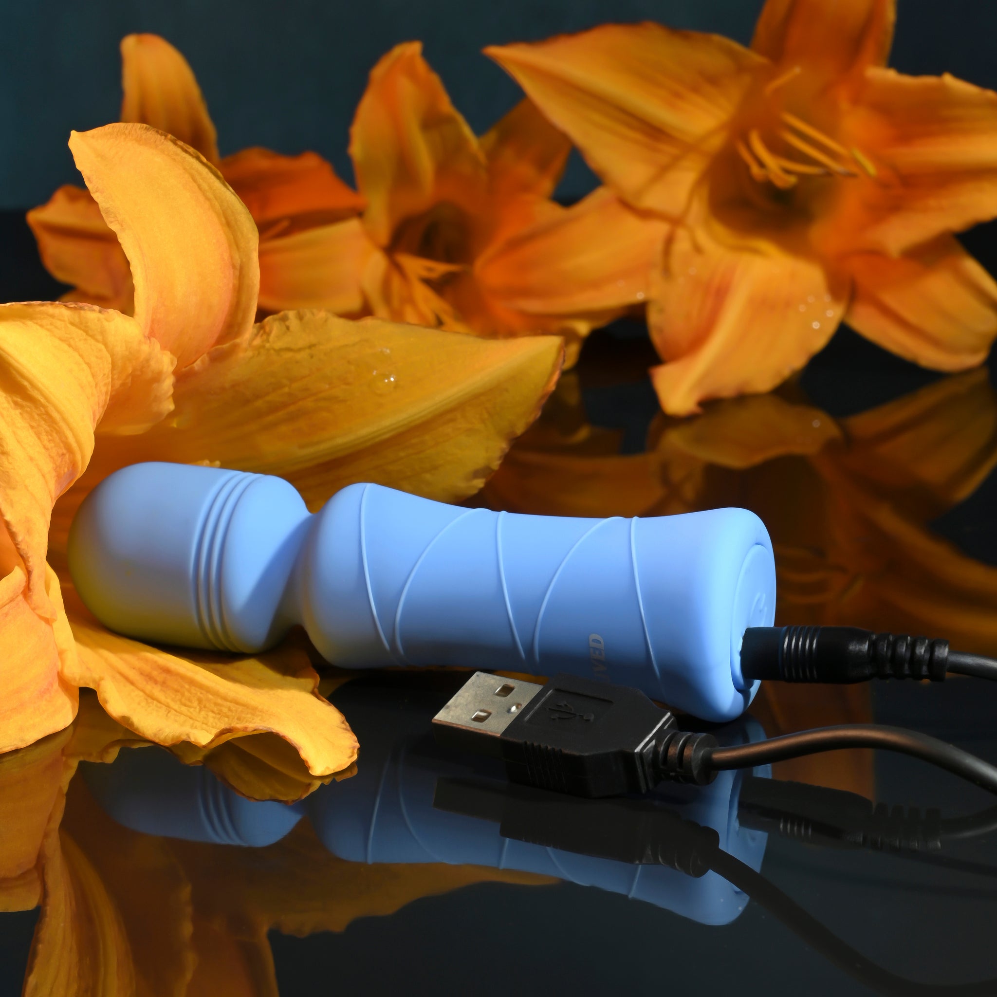 Evolved Out Of The Blue | Shop Lowest Prices at Funlove.com