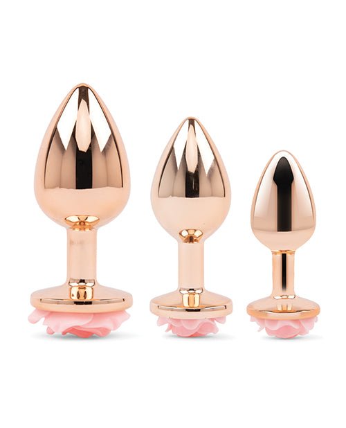 Gemsations 3 pc 2.75" & 3.15" & 3.7" Rose Metal Butt Plug Training Set - Rose Gold | Shop Lowest Prices at Funlove.com