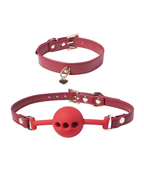 Kinky Play Box Red Passion 8 pc Set Bondage Kit - Red | Shop Lowest Prices at Funlove.com