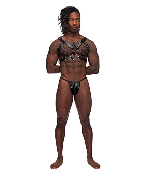 Leather Gemini Double Ring Harness Black O/s | Shop Lowest Prices at Funlove.com