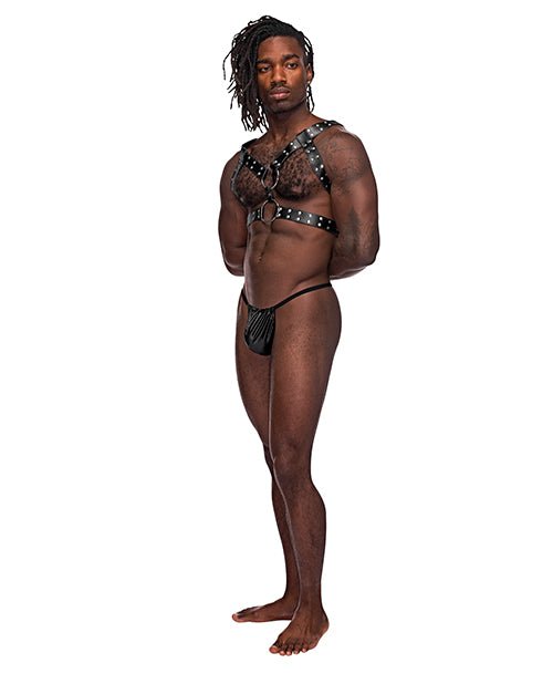 Leather Gemini Double Ring Harness Black O/s | Shop Lowest Prices at Funlove.com