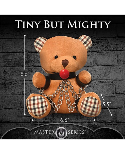 Master Series Gagged Teddy Bear Plush | Shop Lowest Prices at Funlove.com