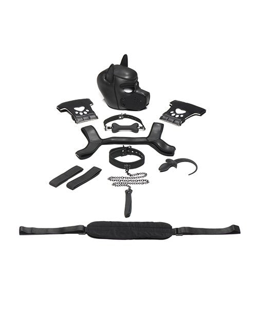 Master Series Pup Arsenal Set | Shop Lowest Prices at Funlove.com