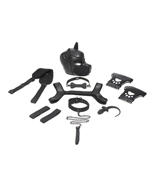 Master Series Pup Arsenal Set | Shop Lowest Prices at Funlove.com