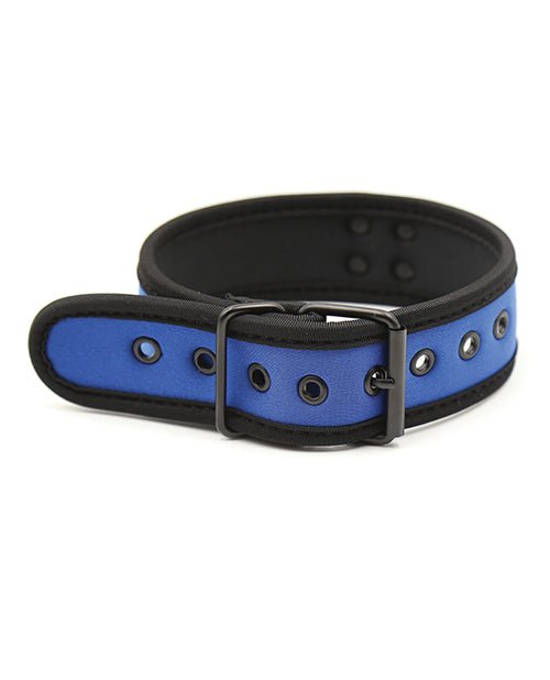 Plesur Neoprene Puppy Collar - | Shop Lowest Prices at Funlove.com