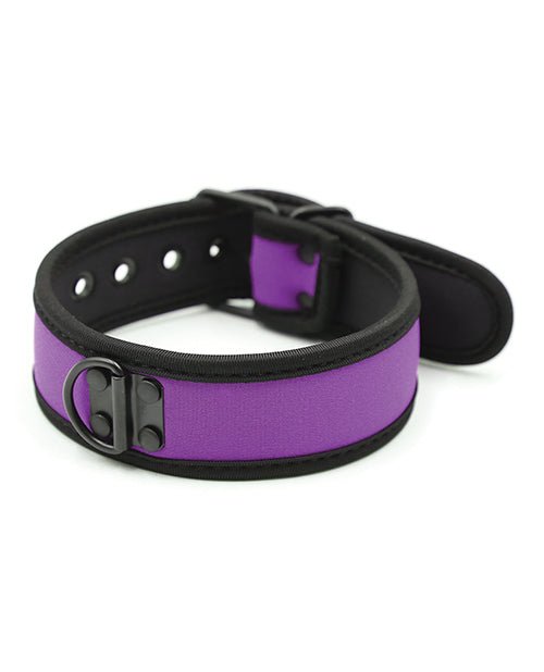 Plesur Neoprene Puppy Collar - | Shop Lowest Prices at Funlove.com
