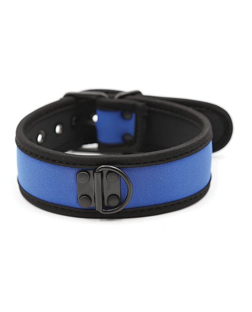 Plesur Neoprene Puppy Collar - | Shop Lowest Prices at Funlove.com