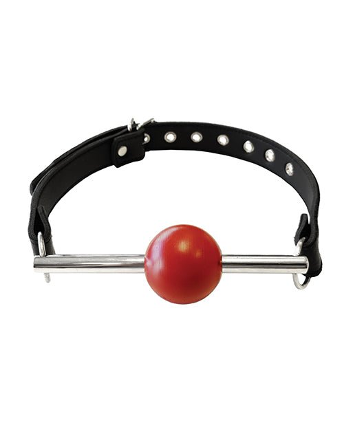 Rouge Leather Ball Gag with Stainless Steel Rod and Removable Ball - Black with Red | Shop Lowest Prices at Funlove.com