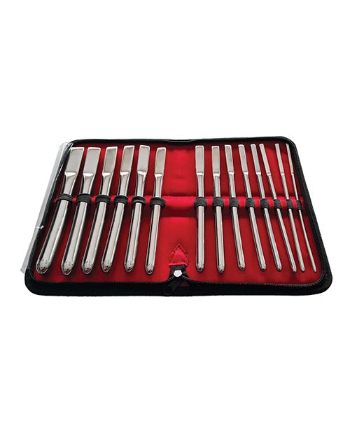 Rouge Stainless Steel Hegar Uterine Dilator Set - Set of 14 | Shop Lowest Prices at Funlove.com