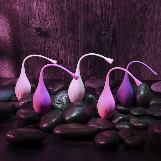 Evolved Tight & Delight 5 Pc Weighted Kegel Ball Set - Assorted Colors