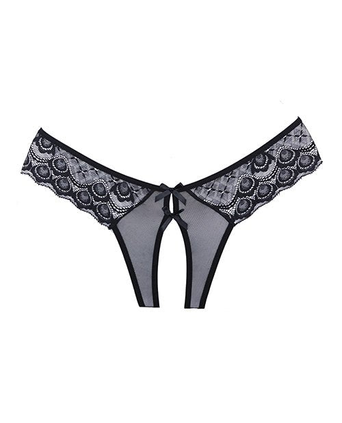 Adore Foreplay Lace & Mesh Front Open Panty | Shop Lowest Prices at Funlove.com