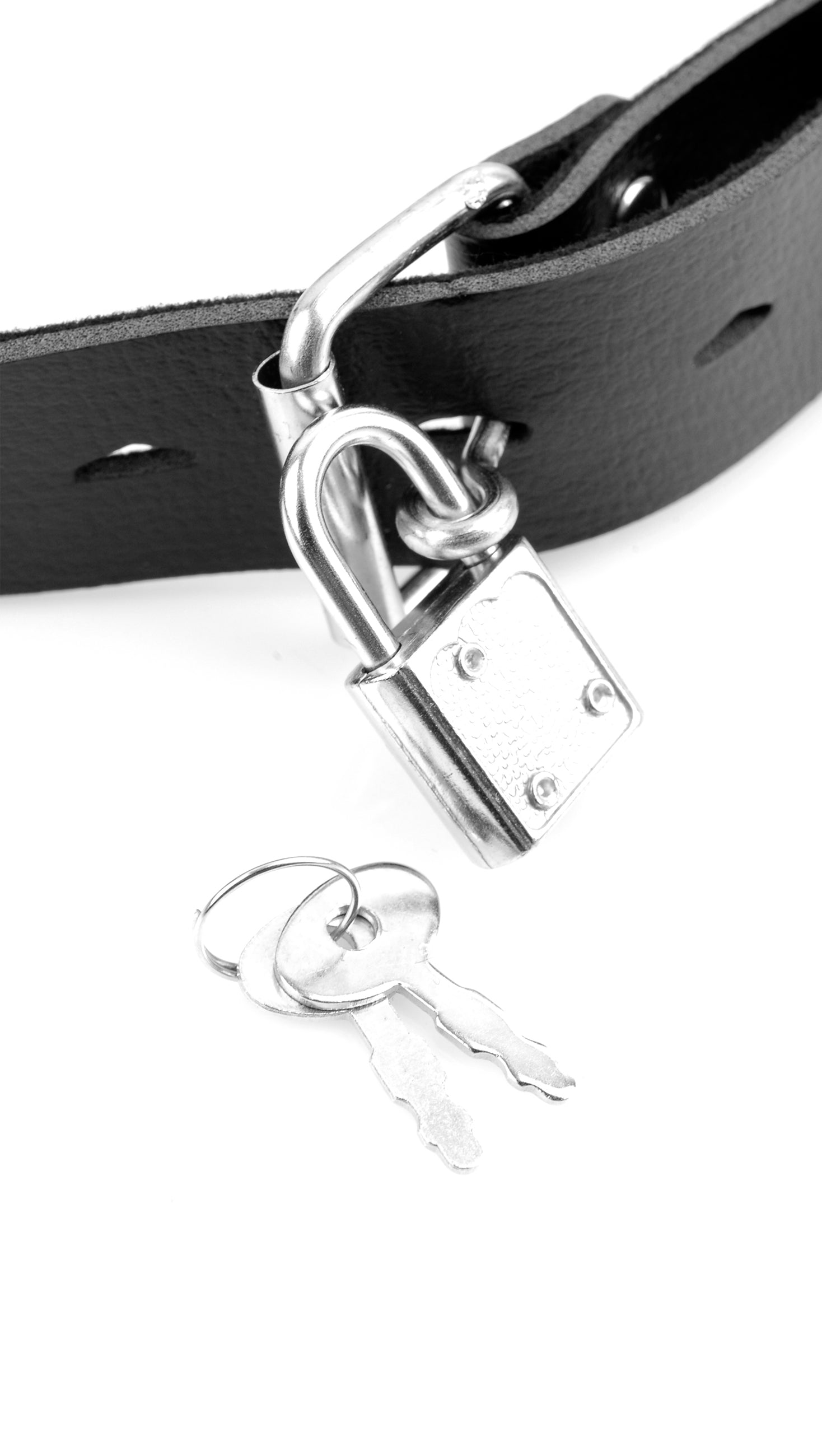 Fetish Fantasy Series Deluxe Ball Gag W/dong