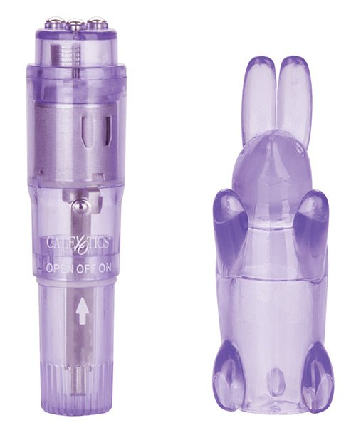 Shane's World Pocket Party | Shop Lowest Prices at Funlove.com